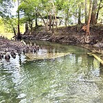 Convict Spring Entry To River