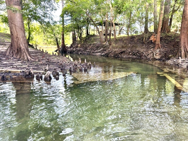 Convict Spring Entry To River