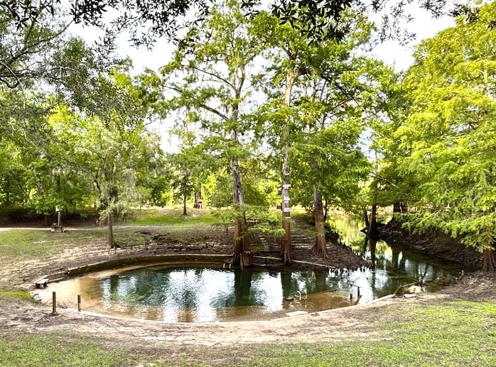 Convict Spring