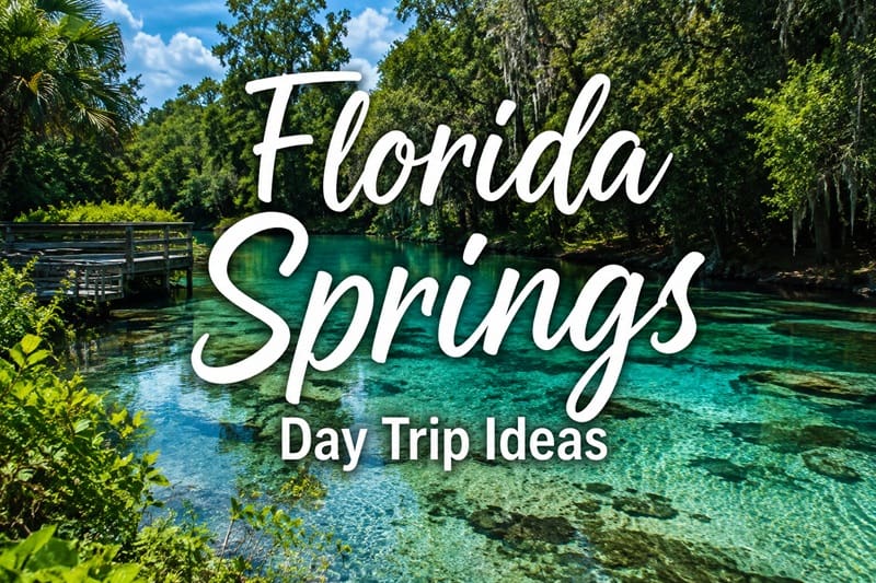 Florida Springs Day Trip Ideas