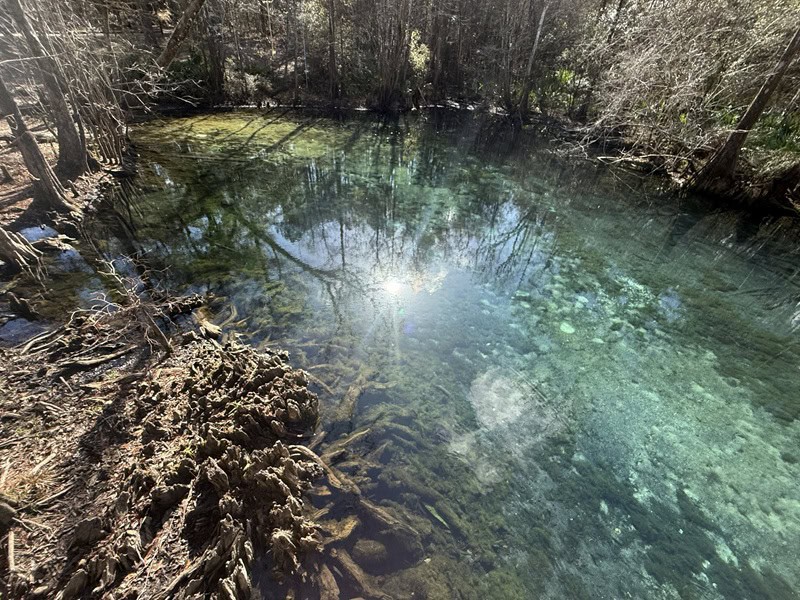 High tower Spring
