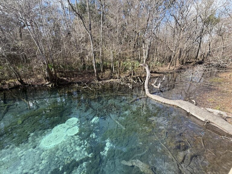 Hightower Spring