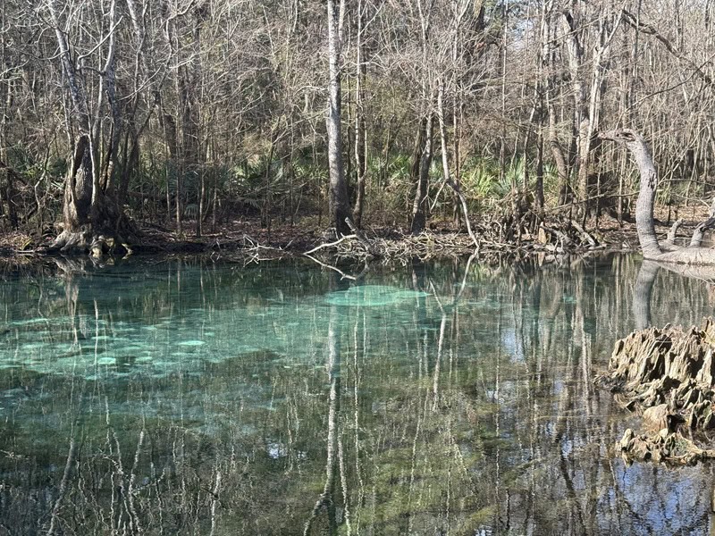 Hightower Springs Florida