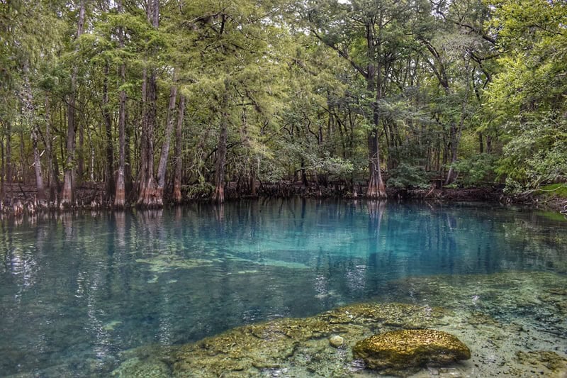 Manatee Springs Park