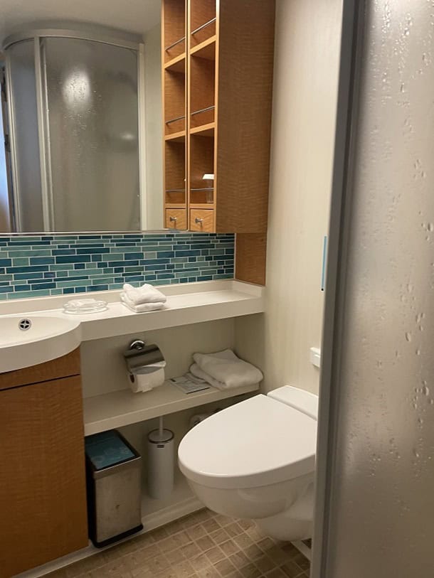 Oasis of the seas toilet