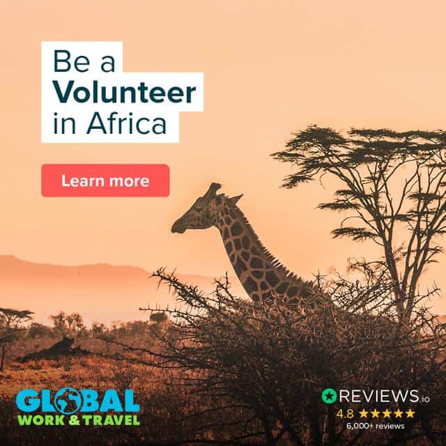 Volunteer Examples The Big Five In Africa