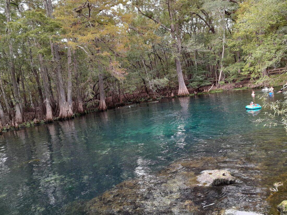Manatee Springs State Park