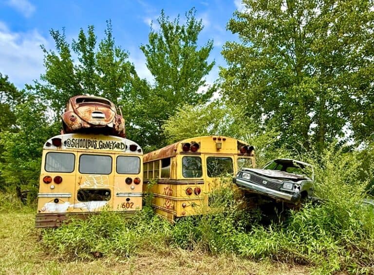The School Bus Graveyard Art