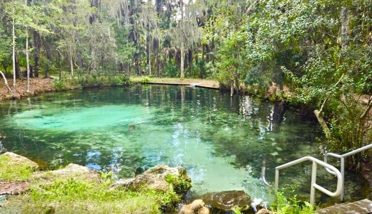Mud Springs