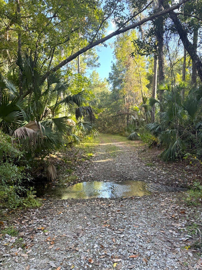Sulphur Spring and Mud Springs Trail