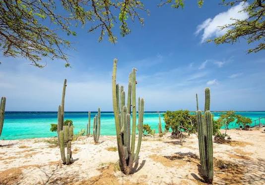 Aruba