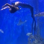 Become a Mermaid Experience