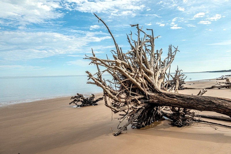 Boneyard Beach Florida