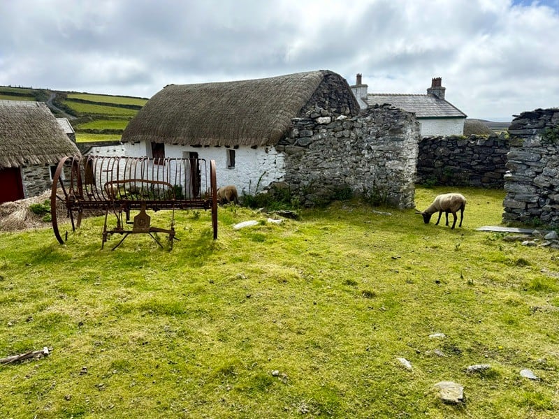 Manx Crofting Life