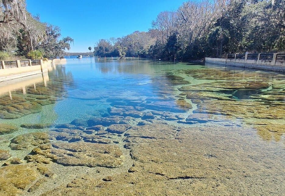 Salt Springs Recreation Area